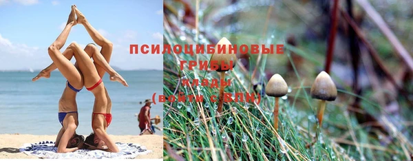 каннабис Алексеевка